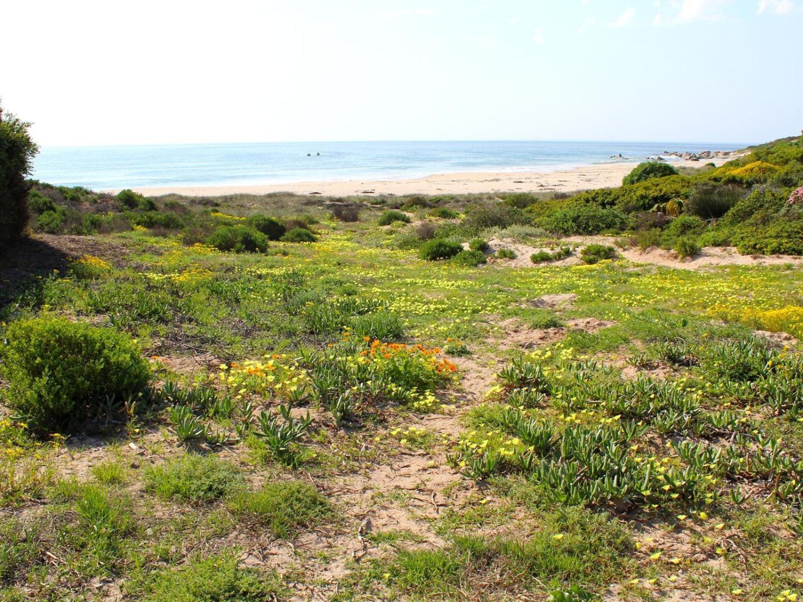 Absolute Beach Accommodation Stompneusbaai Экстерьер фото
